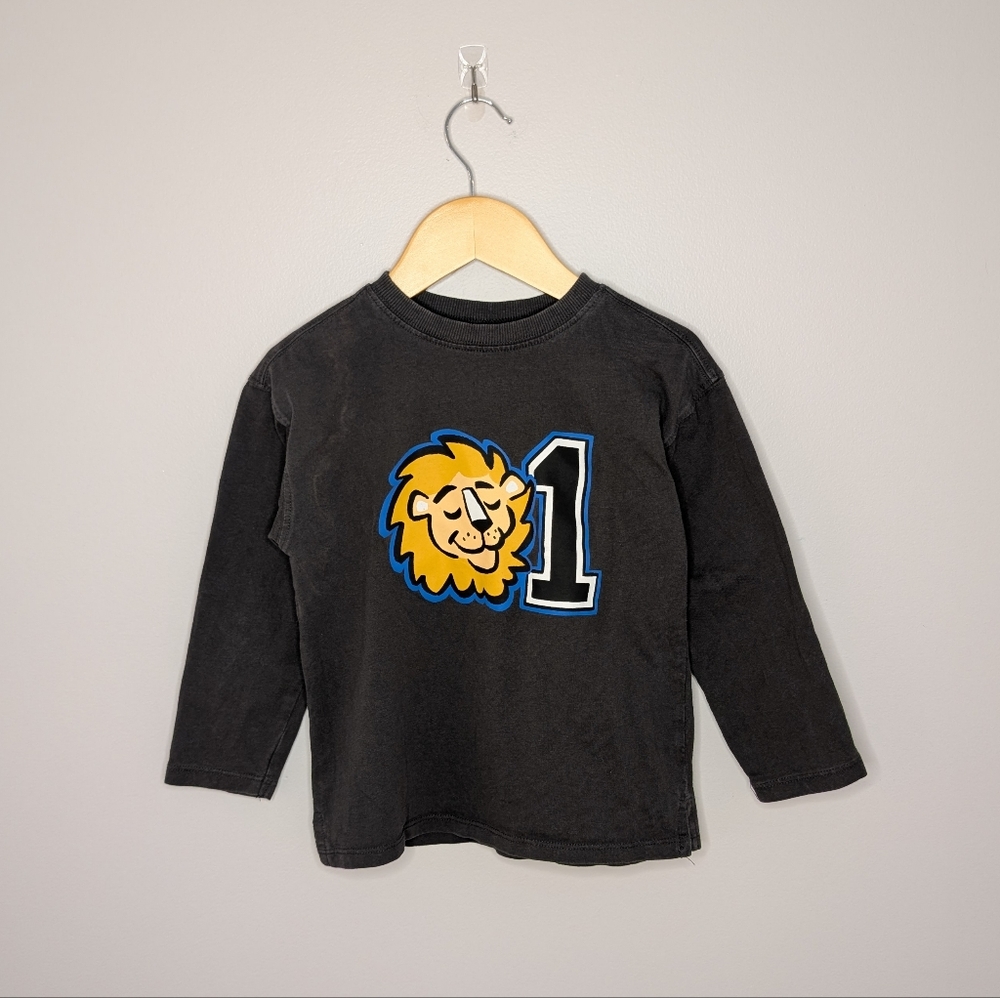 💙 2 for 15 💙 Zara Lion Graphic Long Sleeve Tee